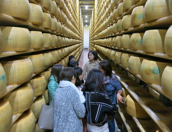Parmisan cheese producer