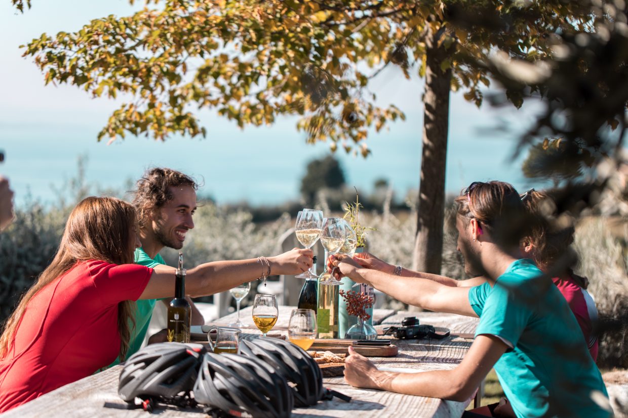 Bardolino e il vino del Lago di Garda