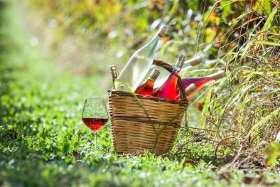 picnic vineyards