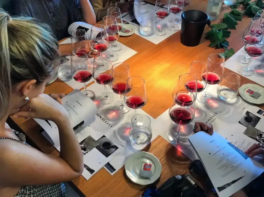 Degustazione vini
