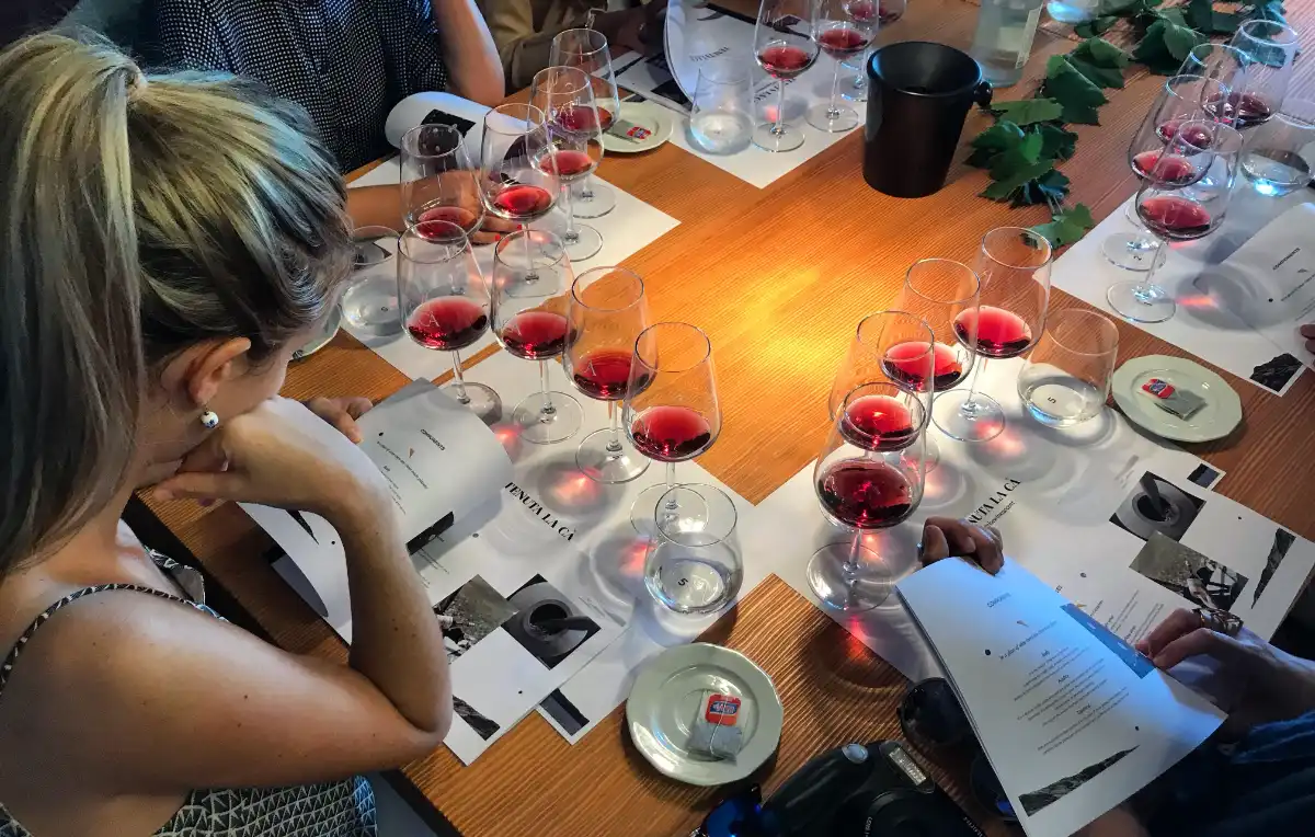 Degustazione vini