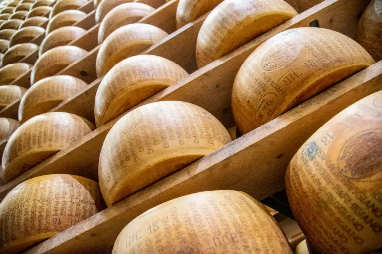 Caseificio del Parmigiano Reggiano, foto di Francesca Bocchia, credit Parma2064 (9)