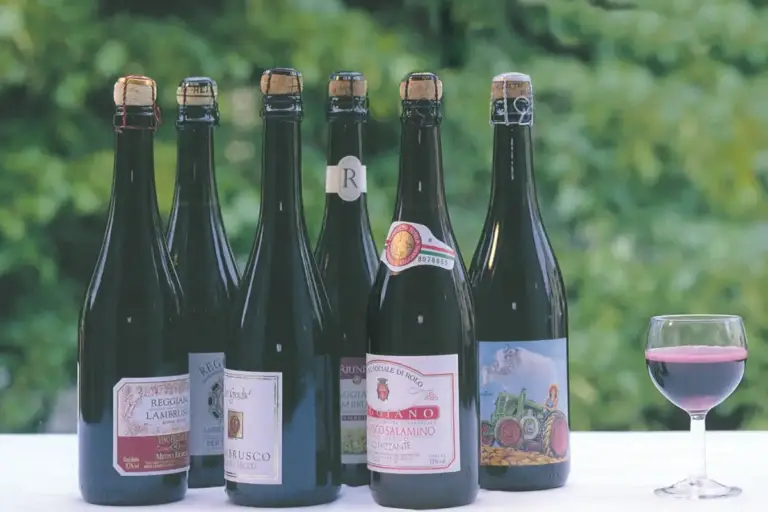 Lambrusco, credit Visit Emilia