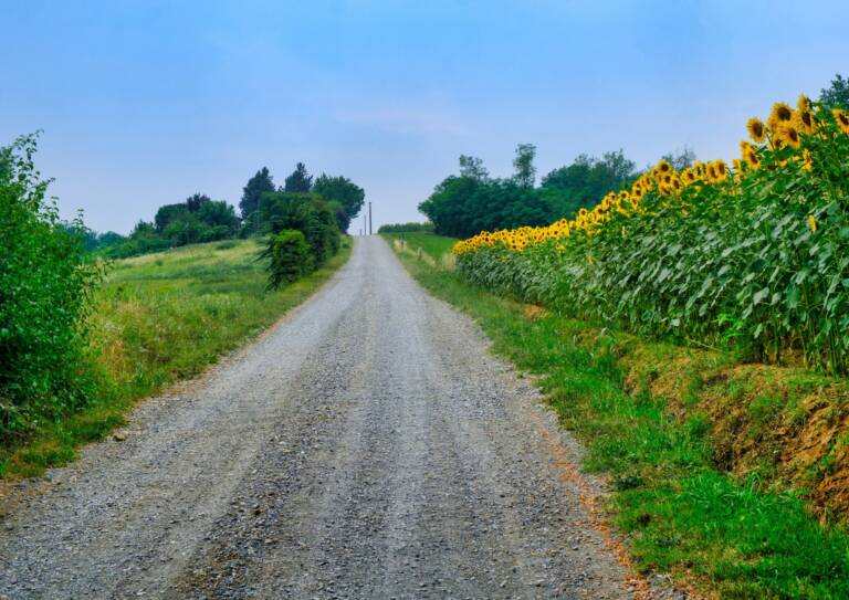 xr:d:DAFxgSbquas:74,j:4266441339246149262,t:23102011