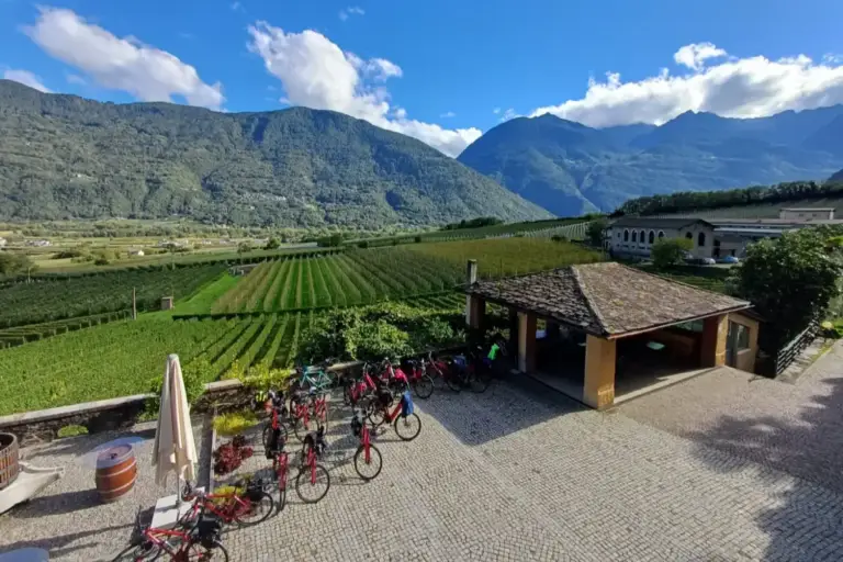 PHOTO-2025-09-23-18-38-01-1